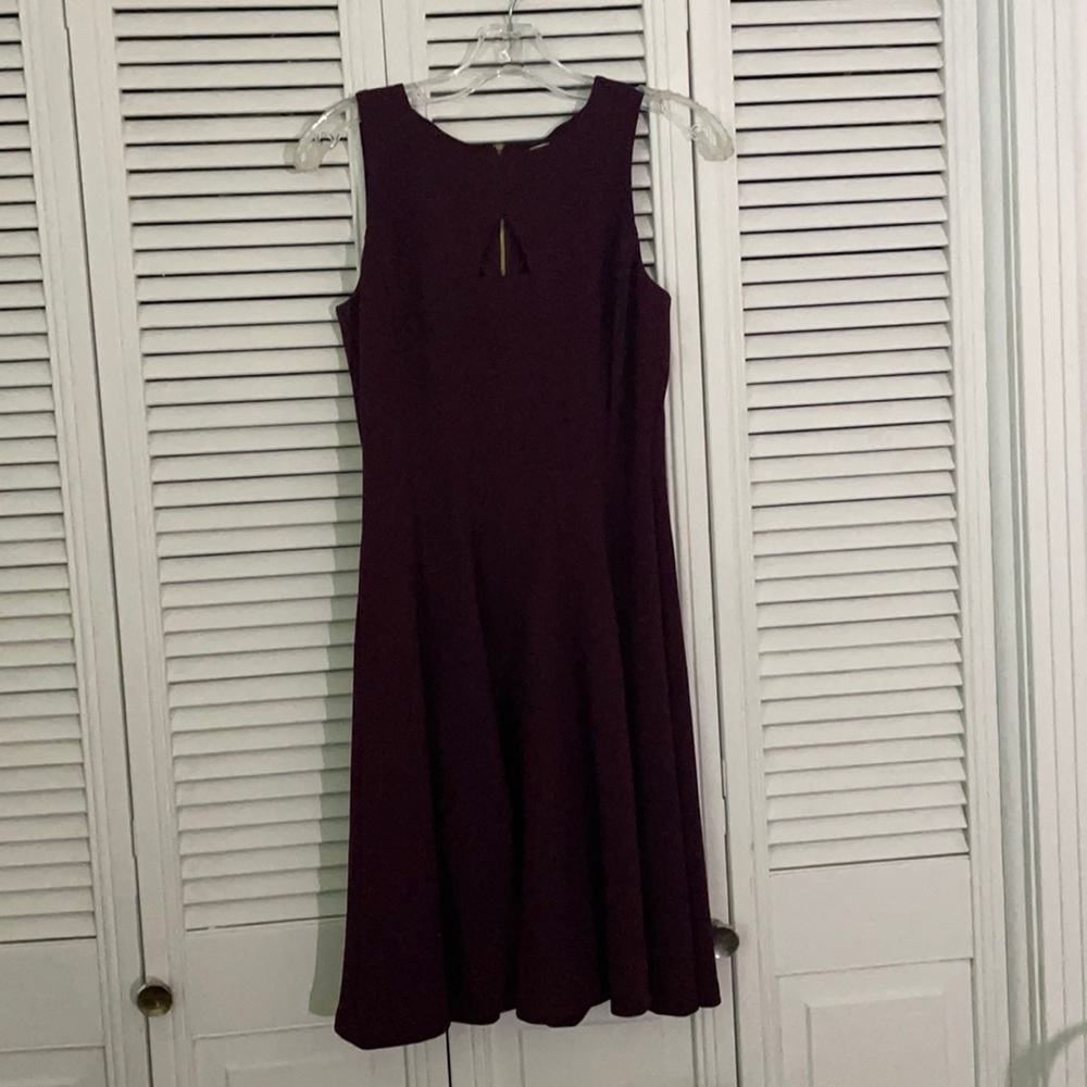 Dress Barn Purple Fit and Flare